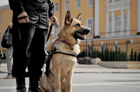 Unleashing Body Cameras - Harnessing Body Cameras for K9 Teams image